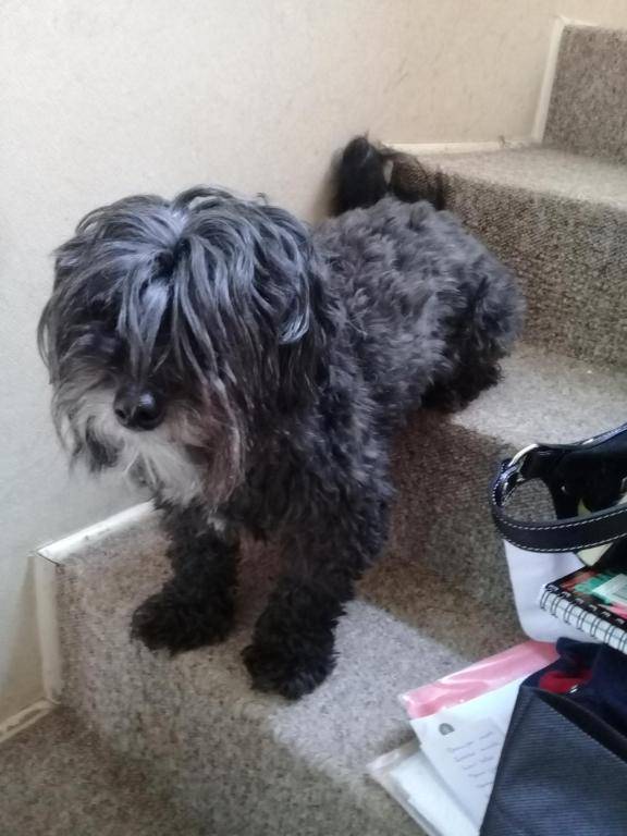 habitacion privada Patagonia Norte - Puerto Varas homestay - Mailen - BnB Plus