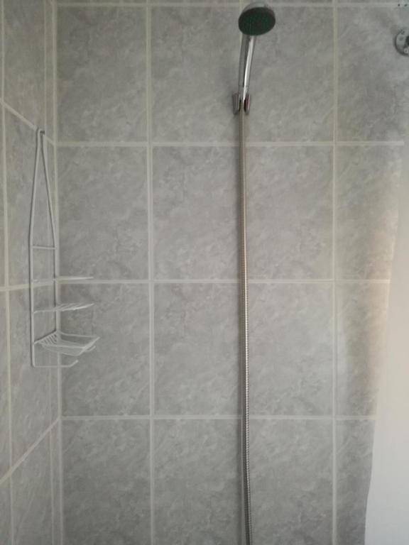 Departamento Gimar Traiguen