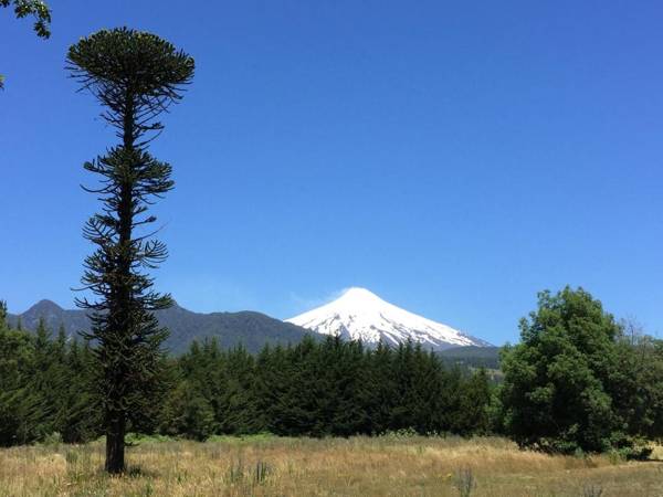 Complejo Buenavista Pucon