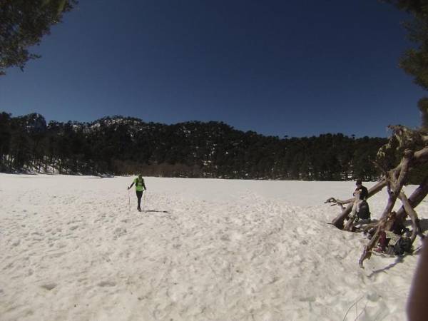 Eco-Cabañas Quetroleufu