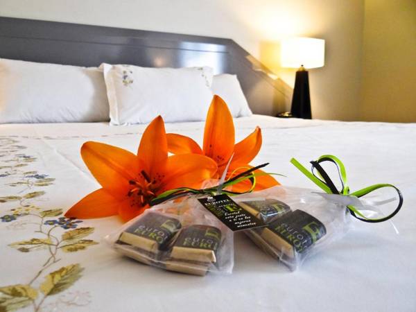Hotel Eurotel El Bosque