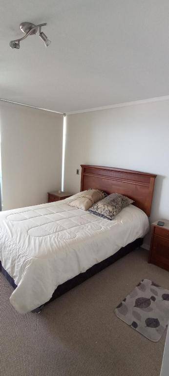 Depto Jardín del Mar Coquimbo