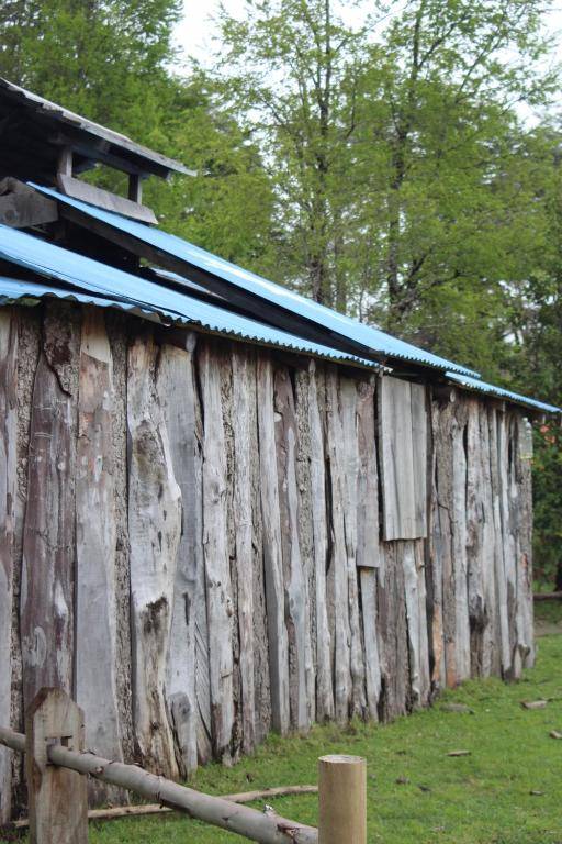 El Rincon de la Olguita
