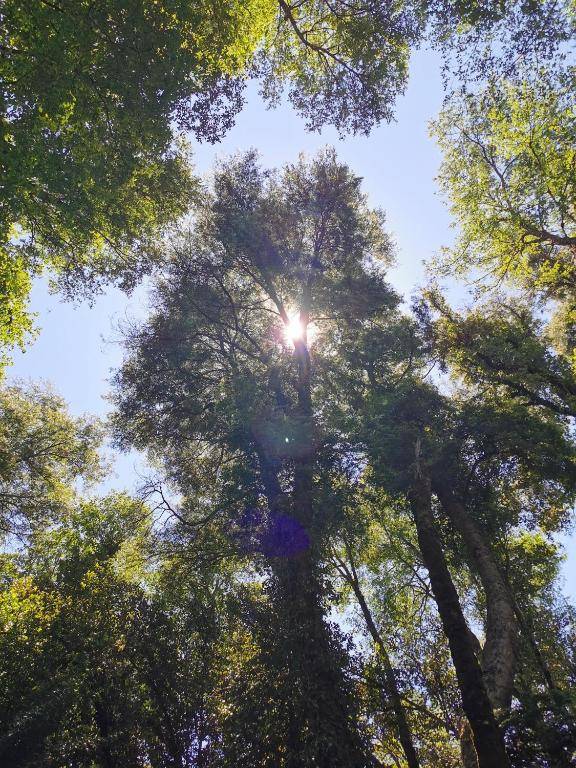 Hostal La Casita del Bajo