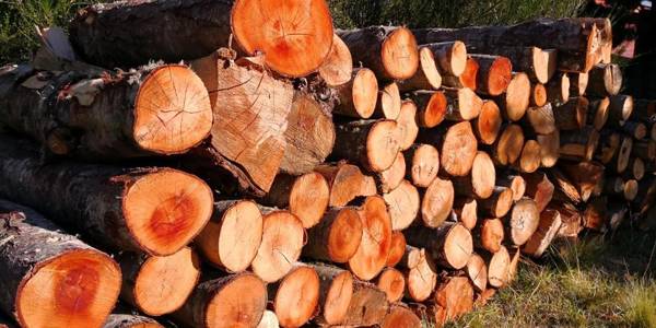 Refugio Simple Sur Casa 6 personas