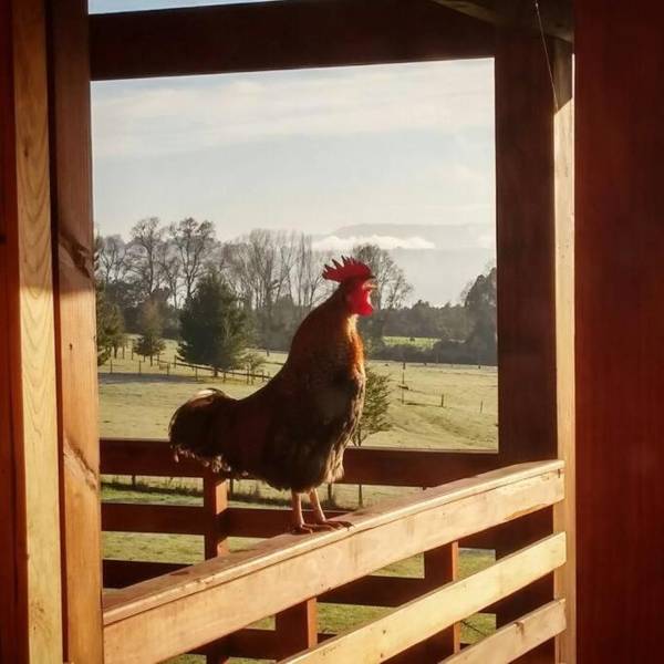 Casa maravillosa con hermosa vista a lago y volcán