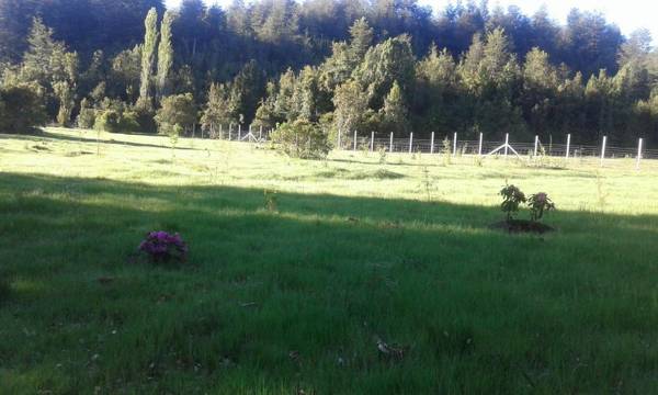 Cabañas El Diuco en Coñaripe 3