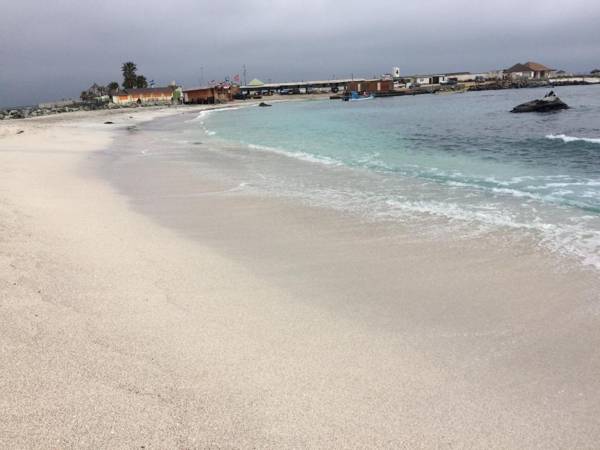 SOTO HAUS Totoralillo Mar