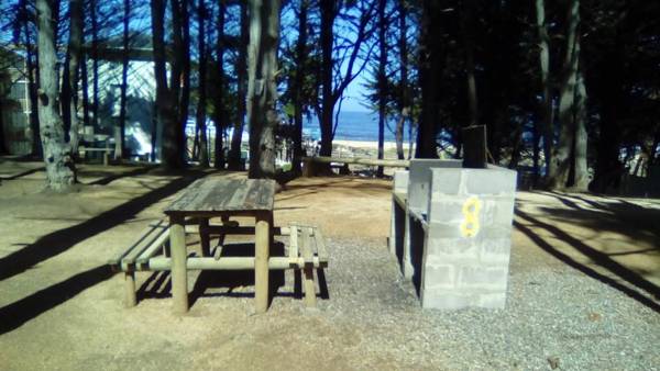 Departamento Bosques del Tabo