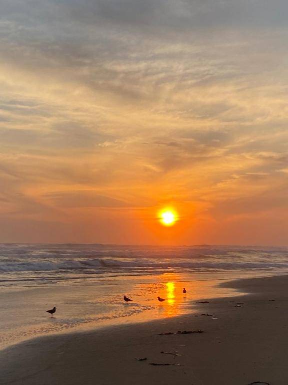 Departamento vista al mar