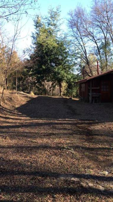 Cabaña con Chimenea en el bosque-Termas de Chillán