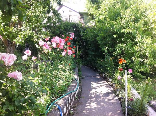 Cabaña Quillón El Campito