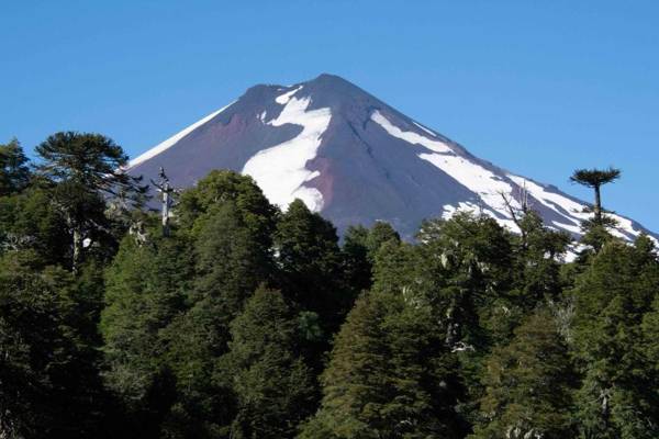Cabaña Fio-Fio Conguillio National Park