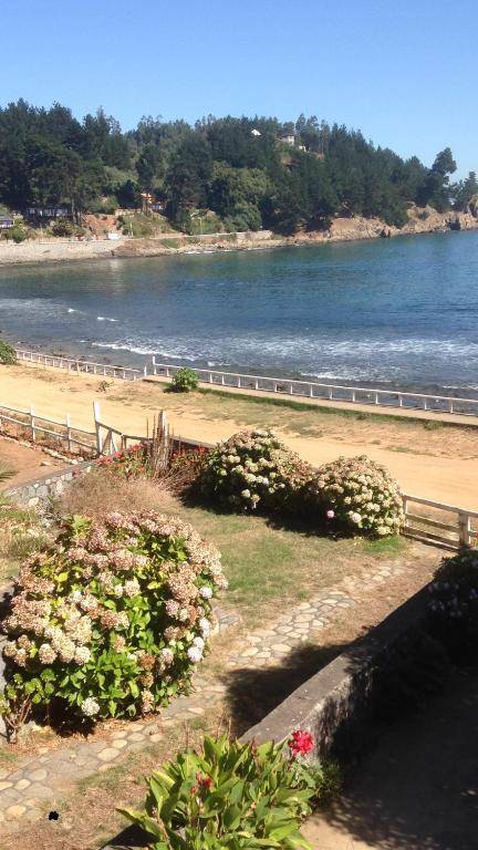 Cabañas Coliumo Tomé