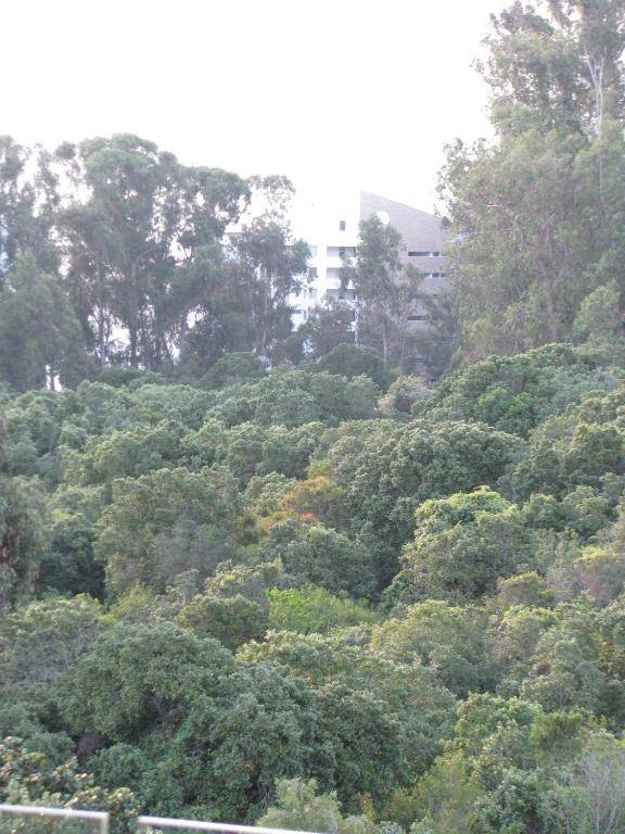 Departamento Costa Puyai II 751