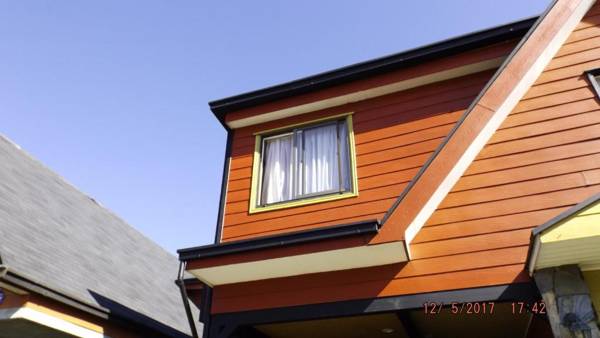 Bosque Valdiviano Apartment