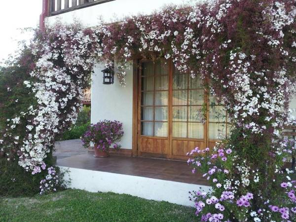 Hotel Casa De Campo