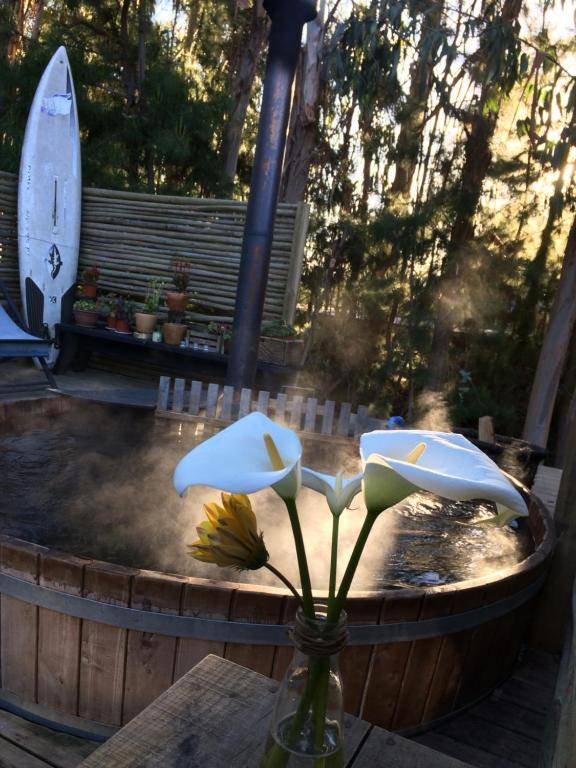 Surf Lodge Punta de Lobos