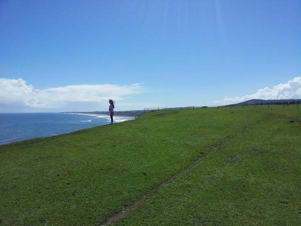 Cabañas Punta de Lobos