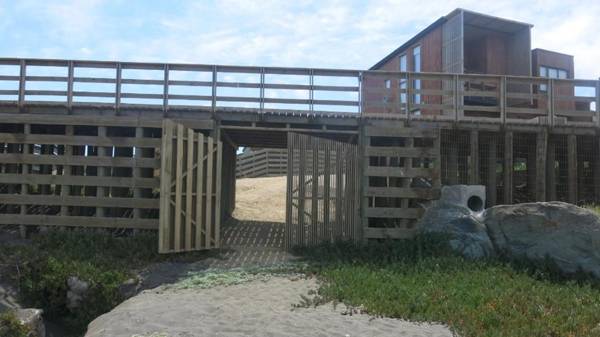 Pichilemu Loft