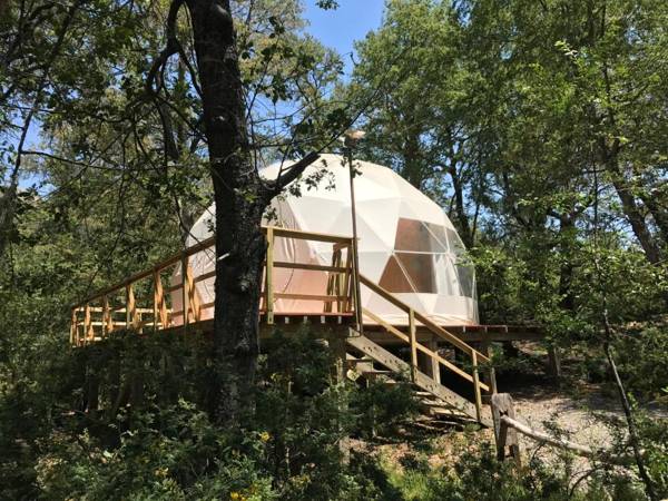 Glamping Domos Treepod