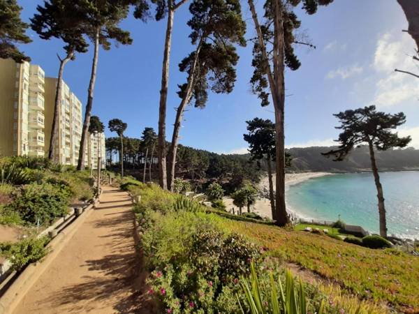 Pinares del Canelillo