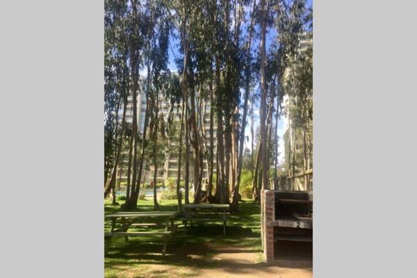 HERMOSO DEPARTAMENTO ALGARROBO NORTE