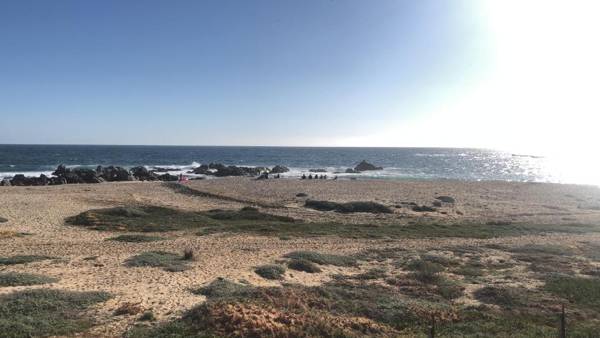 Departamento El Tabo