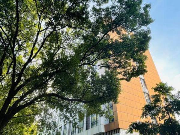 Homeinn Pebble Motel (Longjing Industrial Park Longyan Bridge)