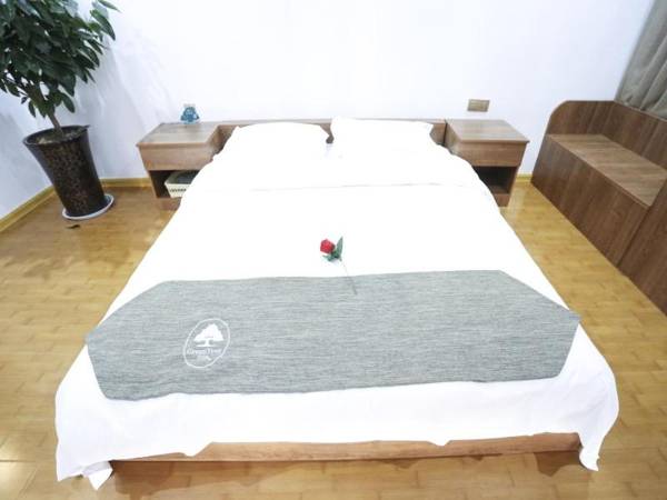 GreenTree Inn Shangqiu Ningling County Bus Station