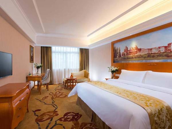 Vienna Hotel Changde Wuling Avenue