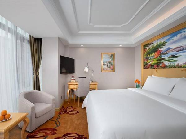 Venus International Hotel Heilongjiang Qiqihar Longhua Road Middle Ring Dashan New Market