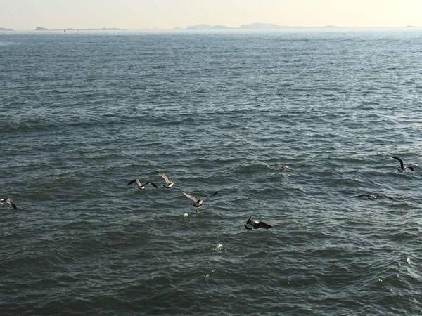 Golden Gulf Hotel Yantai