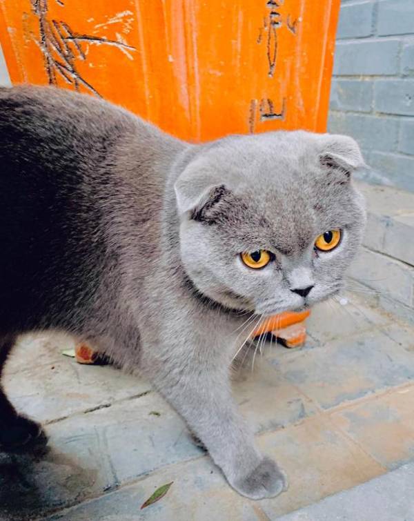 PuSu Jade Boutique Hotel Xi'an