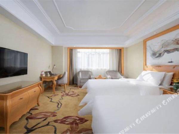 Vienna Classic Hotel (Xi'an Big Wild Goose Pagoda Jindou)