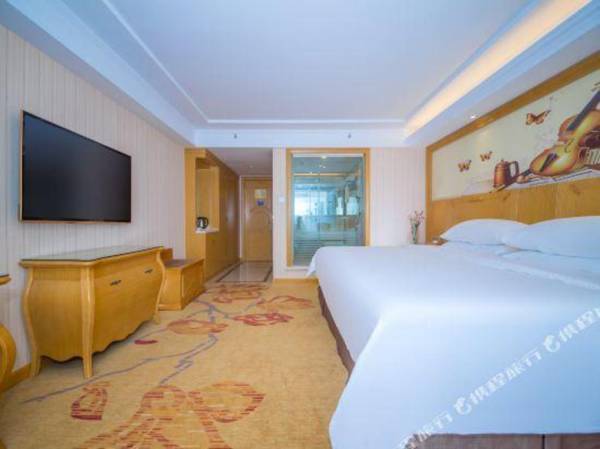 Vienna International Hotel (Wuhan Polar Ocean World TaziLake Metro Station)