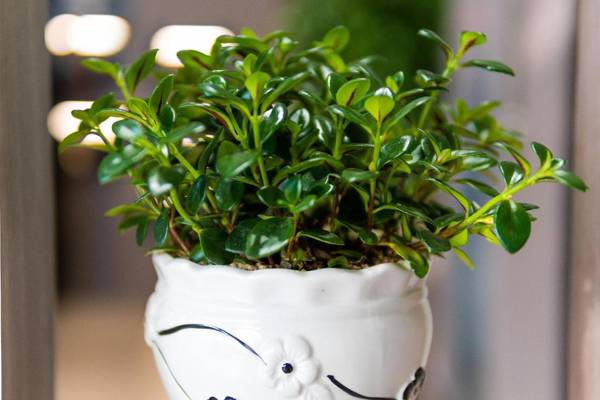 Hanting Hotel Taiyuan South Inner-ring Street