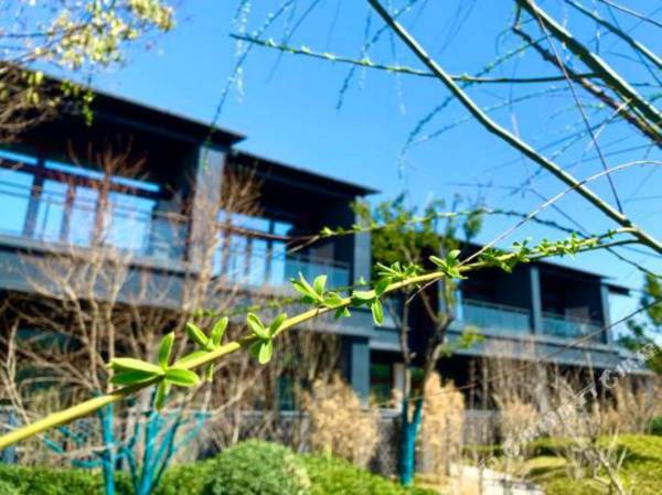 Hebei Grand Hotel · Anyue