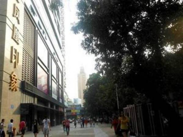 Kingkey Phoenix Hotel style Apartment