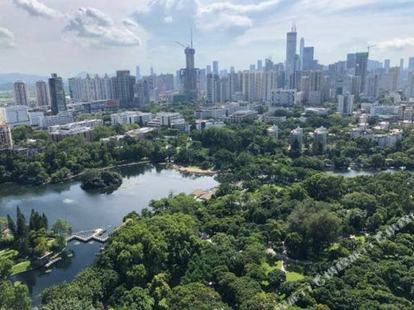 Longxing Apartment Hotel