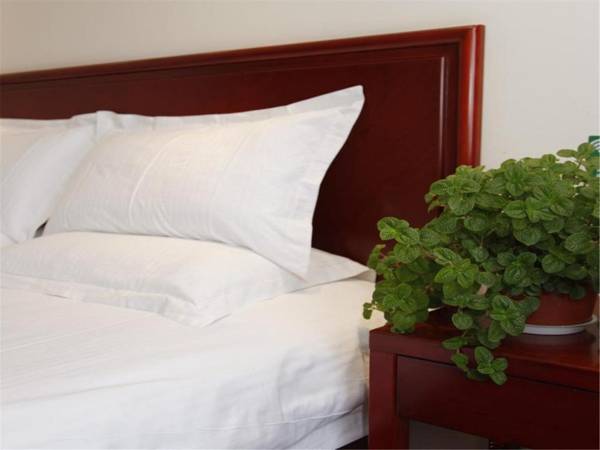 Greentree Inn Shanghai Zhongshan Hutai Business Hotel