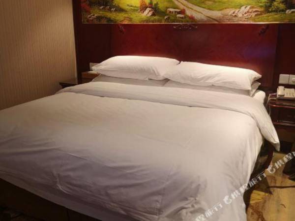 Vienna International Hotel (Shanghai Hongqiao Hub Qingpu Metro Station)