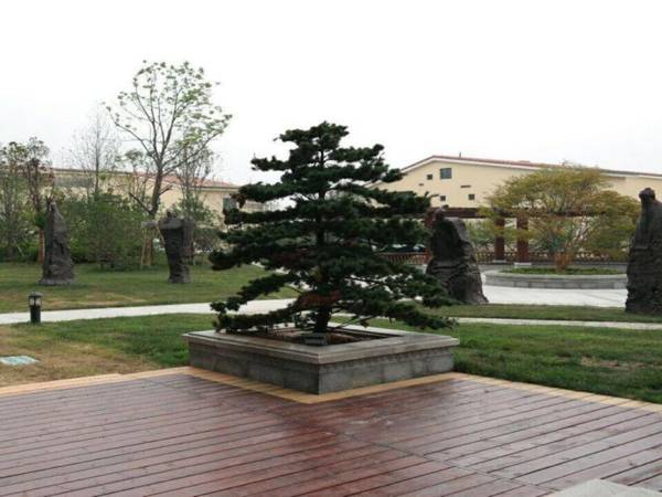 Qingdao Bauhinia Garden Hotel