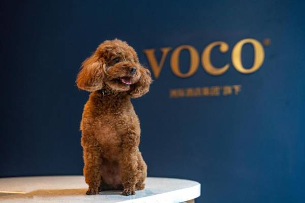 voco Nanjing Garden Expo an IHG Hotel