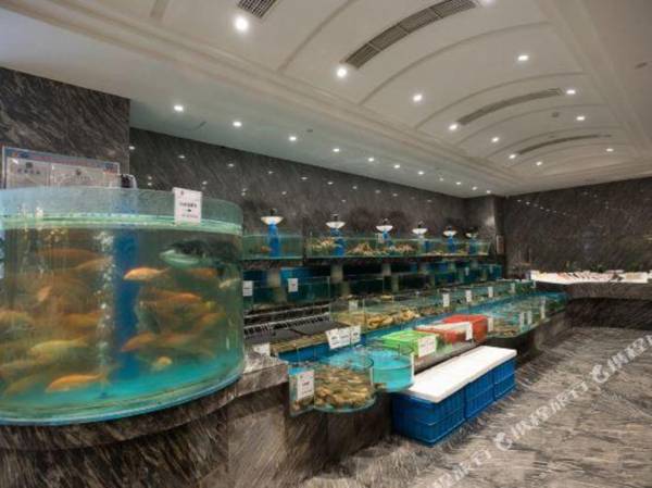 Renhe Dynasty Hotel Qingtian