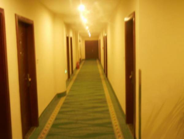 GreenTree Inn Heze Railway Station Hotel