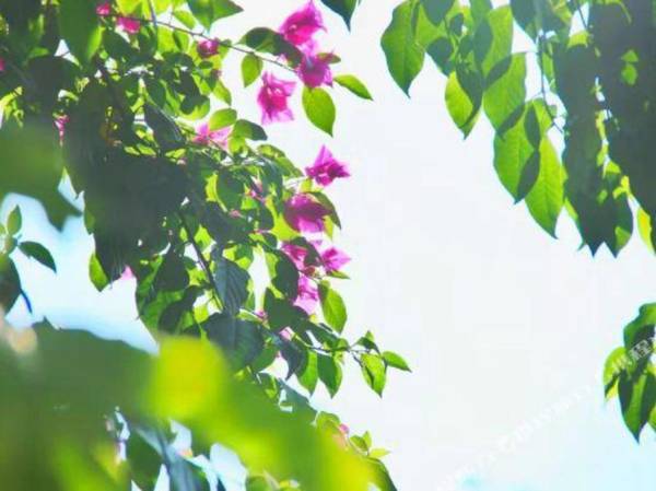 Hangzhou Airport Minghang Hostel