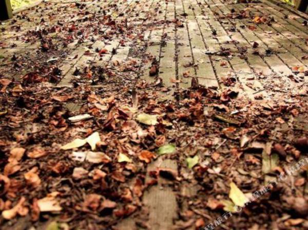 Hangzhou Airport Minghang Hostel