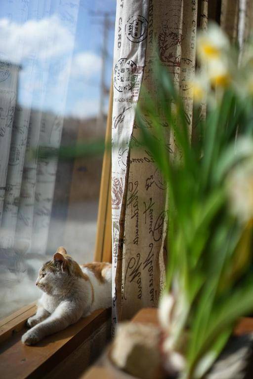 House of Waking Sunlight