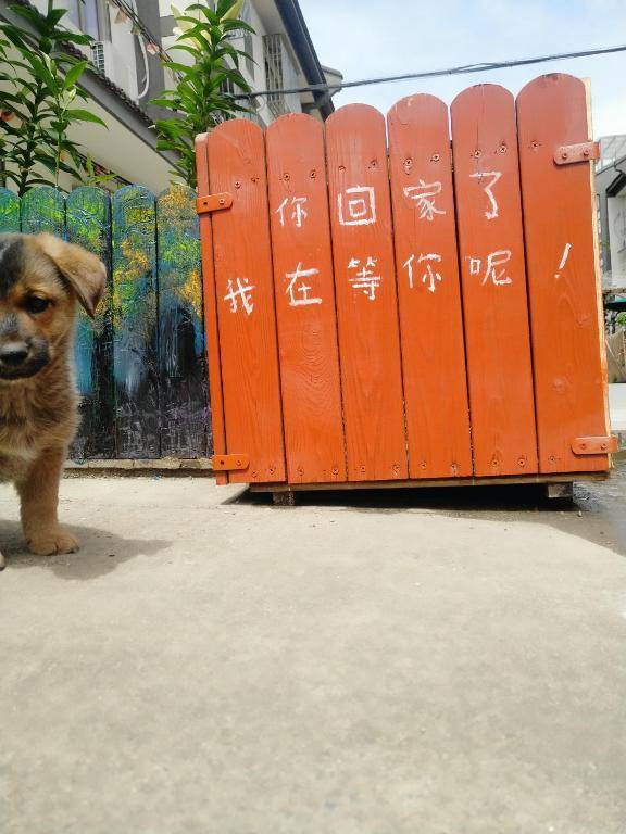 The One Youth Hostel